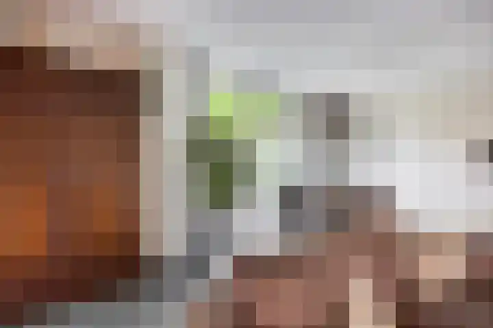 Abdijtuinen 113 Veldhoven thumbnail 29