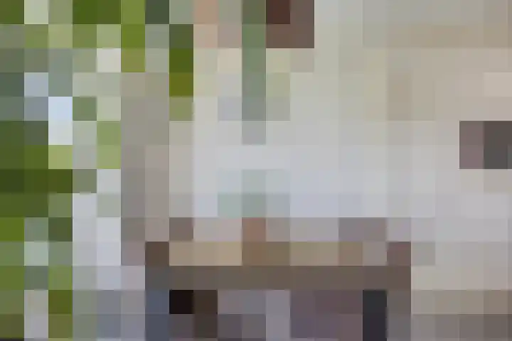 Abdijtuinen 113 Veldhoven thumbnail 30