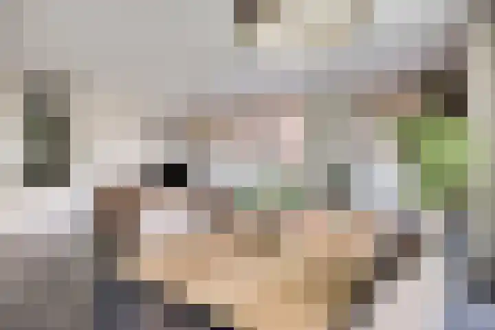 Abdijtuinen 113 Veldhoven thumbnail 31