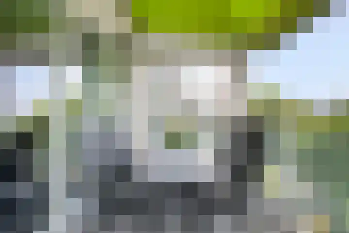 Abdijtuinen 113 Veldhoven thumbnail 32