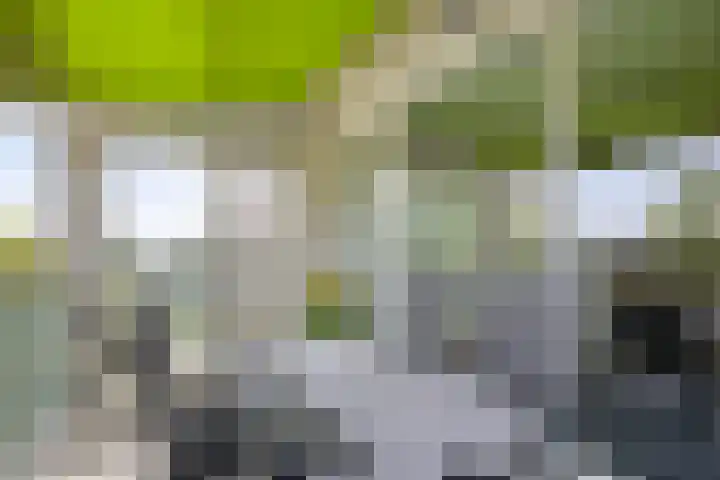 Abdijtuinen 113 Veldhoven thumbnail 34