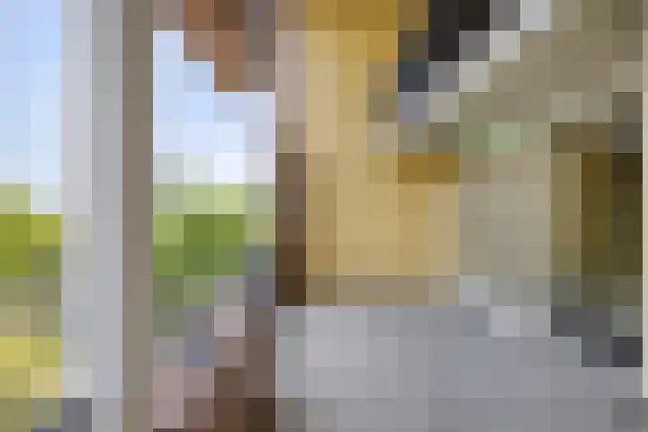 Abdijtuinen 113 Veldhoven thumbnail 35