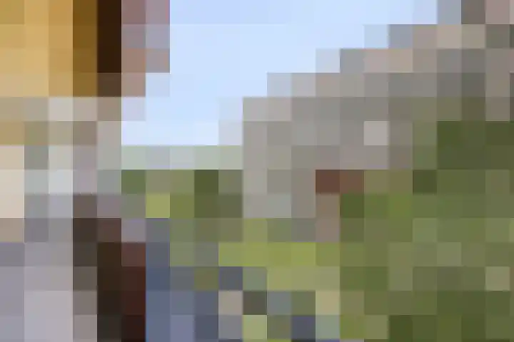 Abdijtuinen 113 Veldhoven thumbnail 36