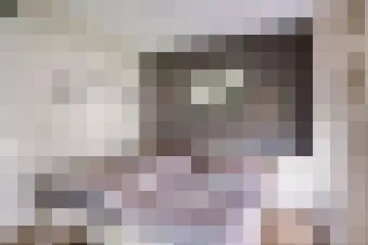 Abdijtuinen 113 Veldhoven thumbnail 4