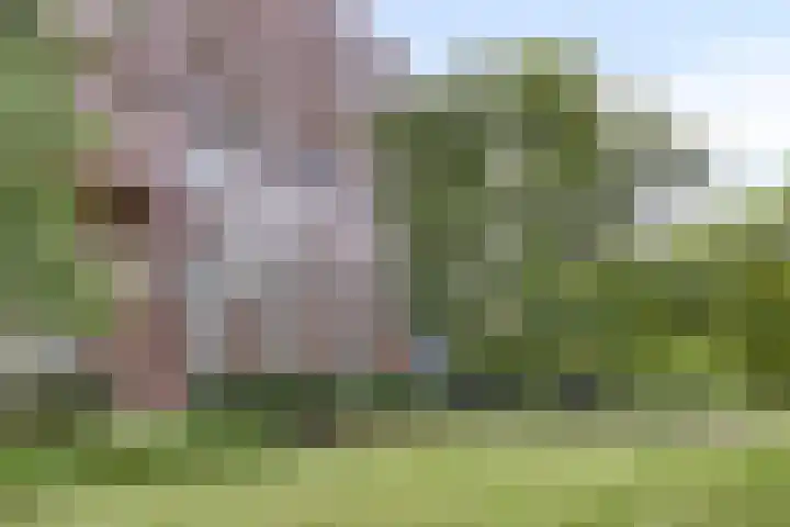Abdijtuinen 113 Veldhoven thumbnail 42