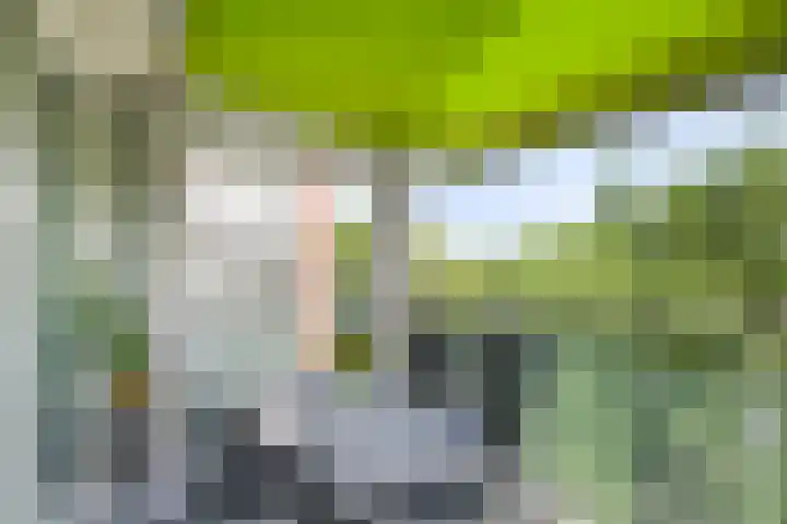 Abdijtuinen 113 Veldhoven thumbnail 6