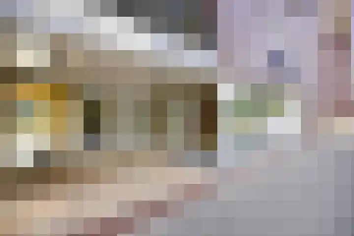 Abdijtuinen 113 Veldhoven thumbnail 7