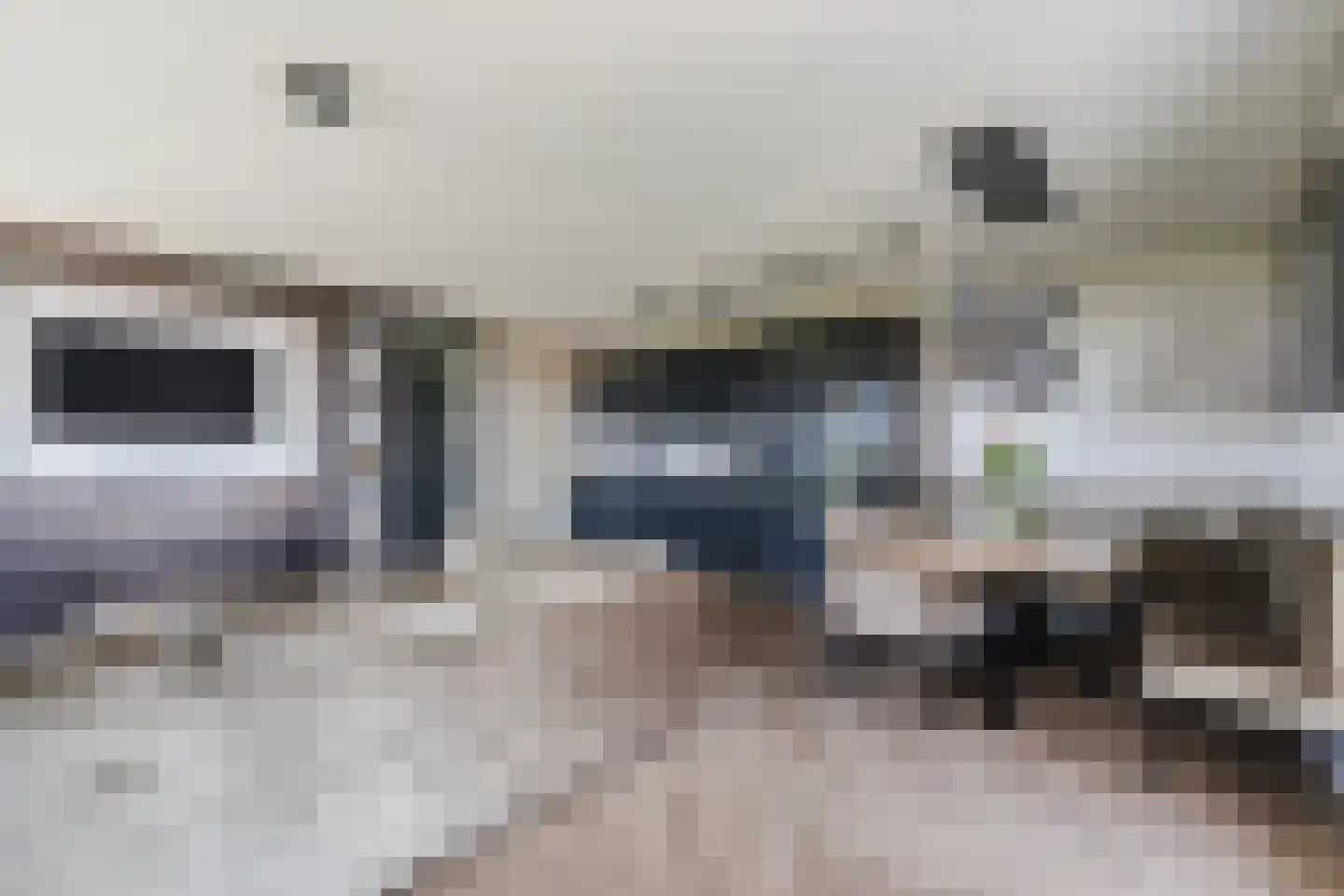 Abdijtuinen 118 Veldhoven thumbnail 16