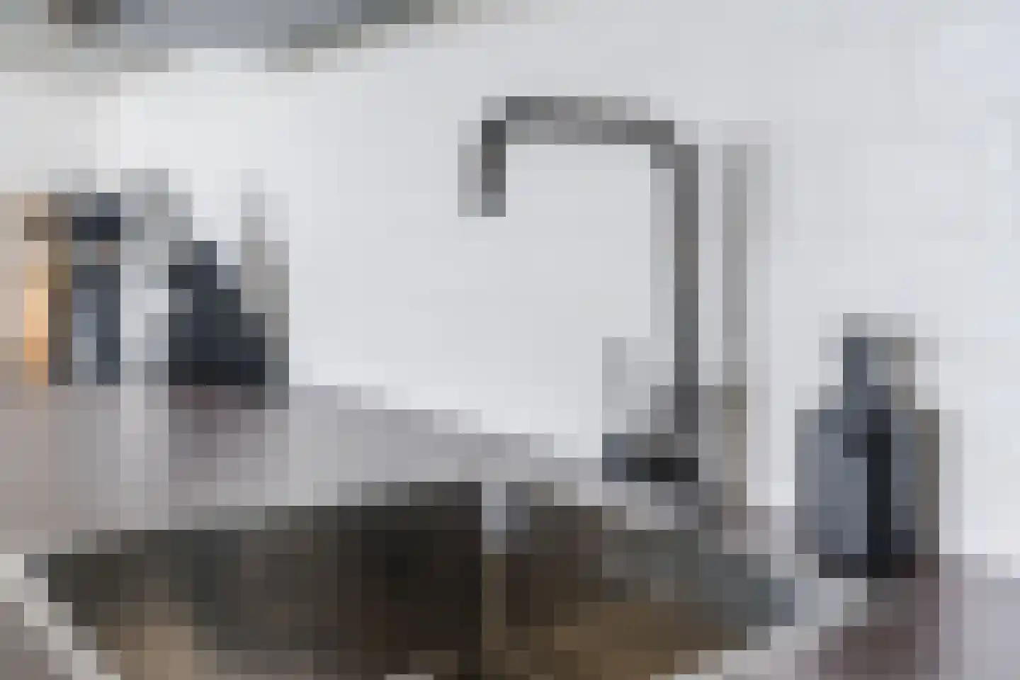 Abdijtuinen 118 Veldhoven thumbnail 20