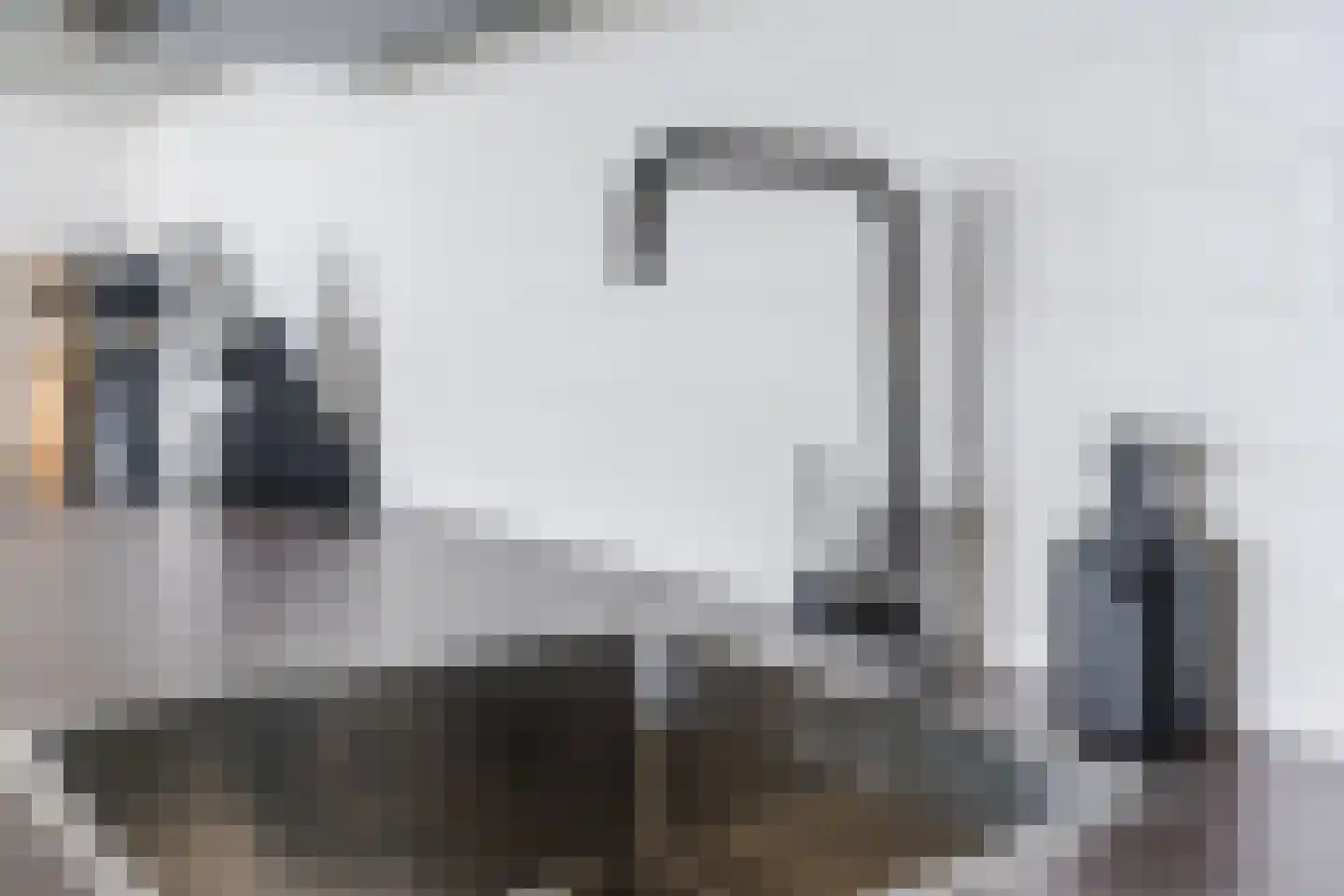 Abdijtuinen 118 Veldhoven thumbnail 24