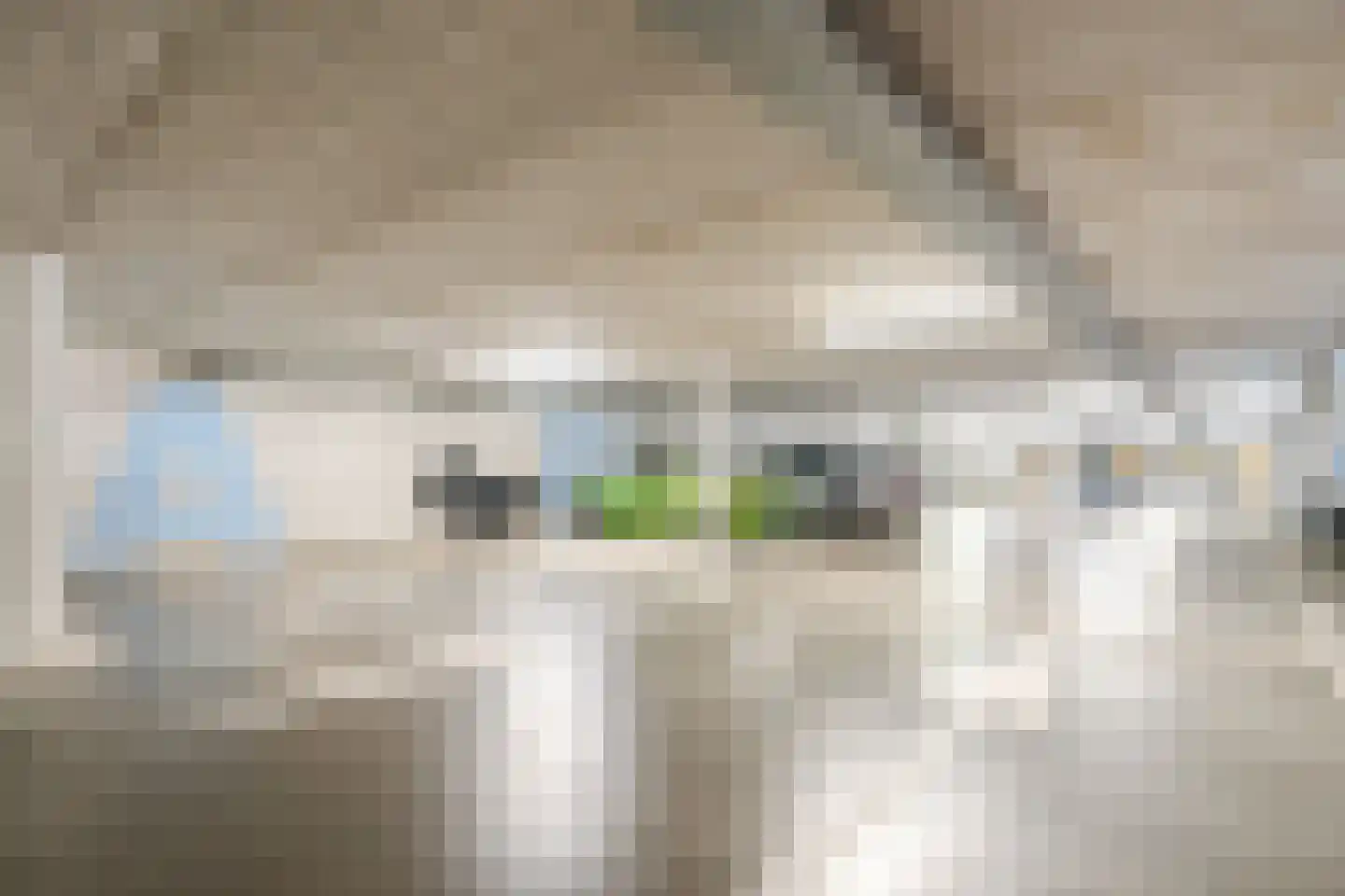Abdijtuinen 118 Veldhoven thumbnail 33