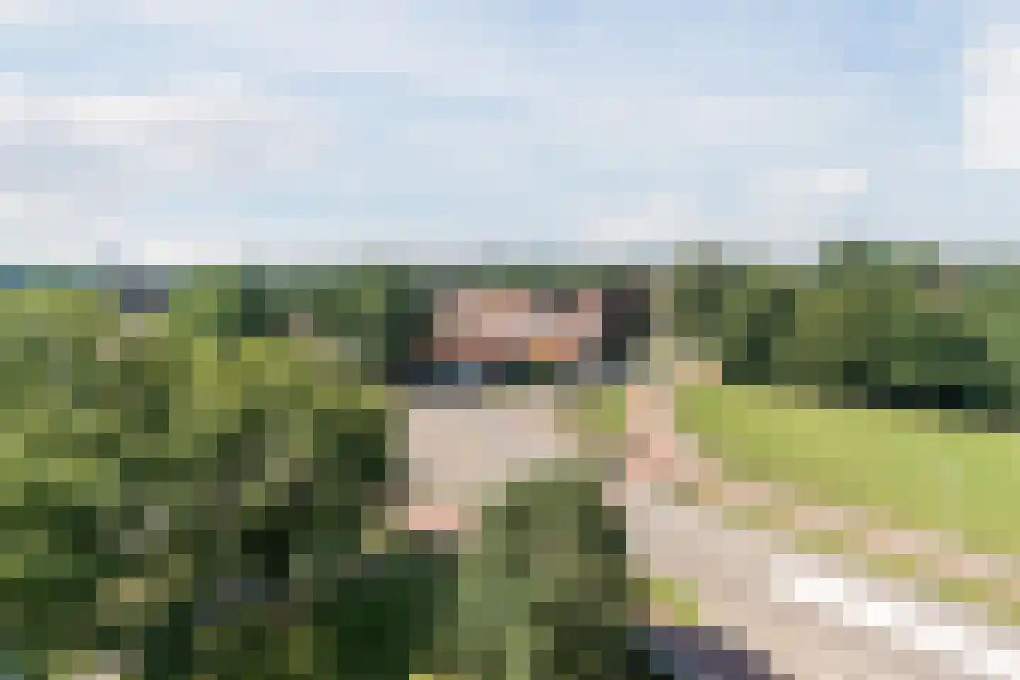 Abdijtuinen 118 Veldhoven thumbnail 4