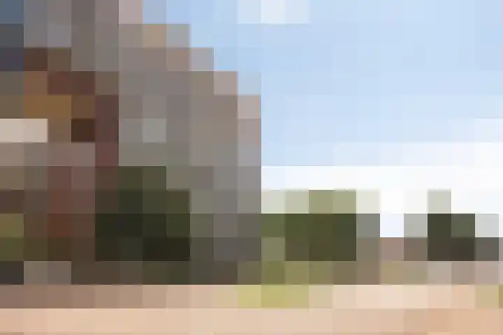 Abdijtuinen 125 Veldhoven thumbnail 29