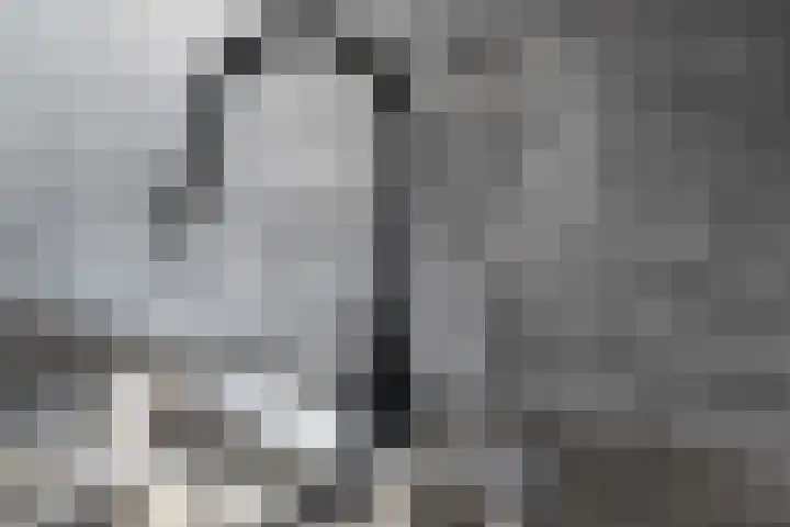Abdijtuinen 132 Veldhoven thumbnail 18