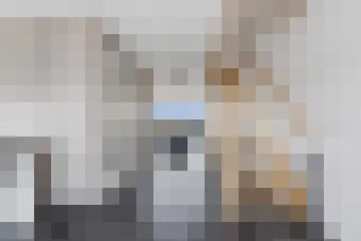 Abdijtuinen 132 Veldhoven thumbnail 26