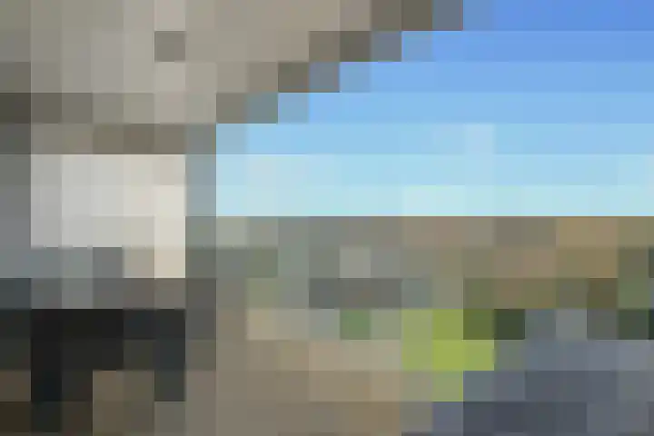Abdijtuinen 132 Veldhoven thumbnail 34