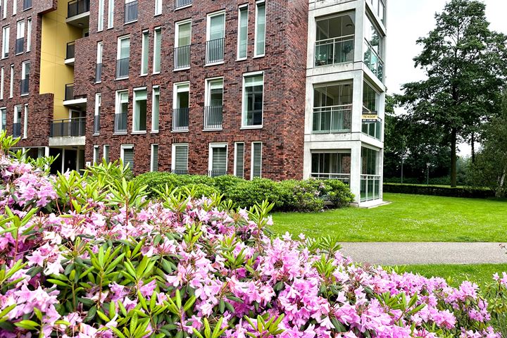 Abdijtuinen 145 in Veldhoven Foto