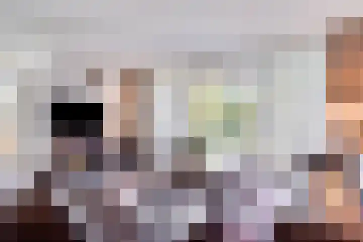 Abdijtuinen 147 Veldhoven thumbnail 12