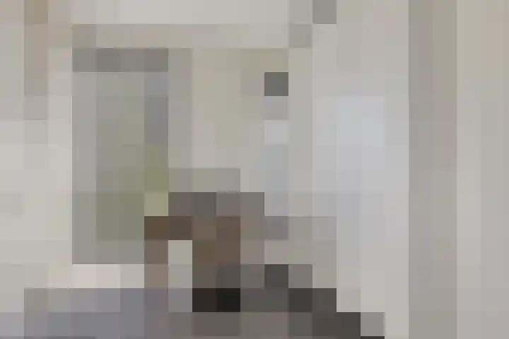 Abdijtuinen 147 Veldhoven thumbnail 23