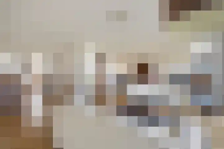 Abdijtuinen 160 Veldhoven thumbnail 15