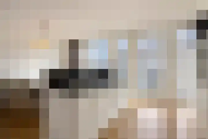 Abdijtuinen 160 Veldhoven thumbnail 22