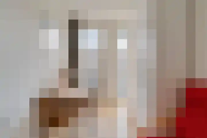 Abdijtuinen 160 Veldhoven thumbnail 35
