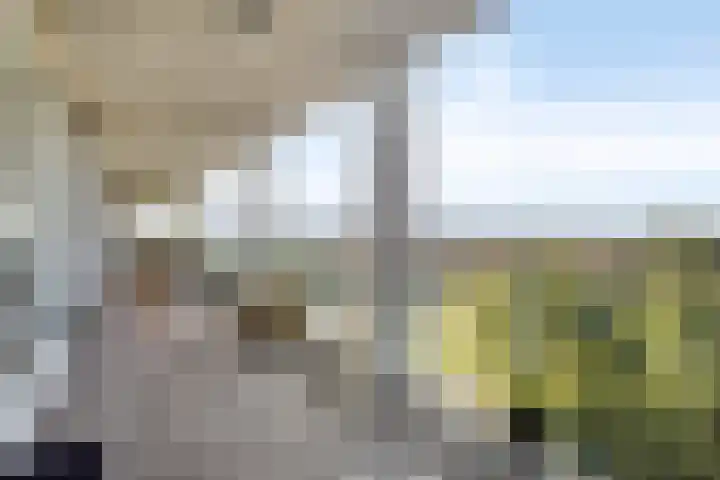 Abdijtuinen 160 Veldhoven thumbnail 45