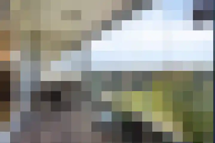Abdijtuinen 160 Veldhoven thumbnail 48