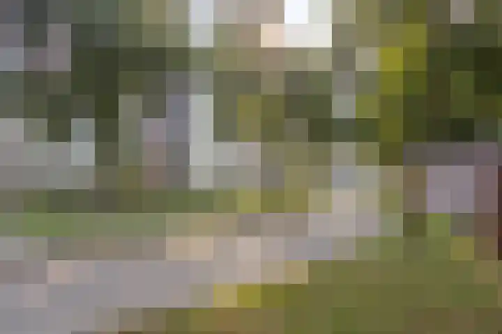 Abdijtuinen 160 Veldhoven thumbnail 6