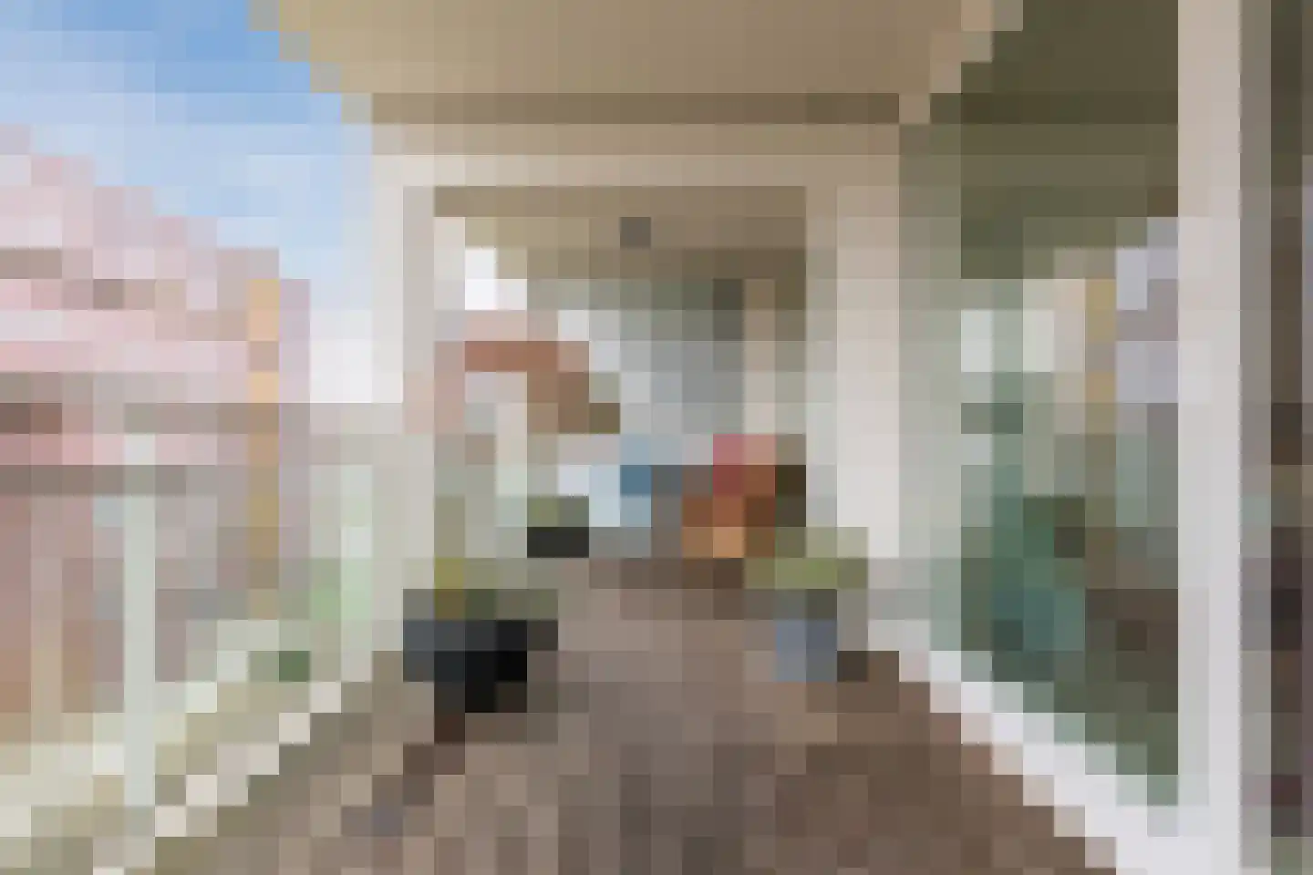 Abdijtuinen 224 Veldhoven thumbnail 17