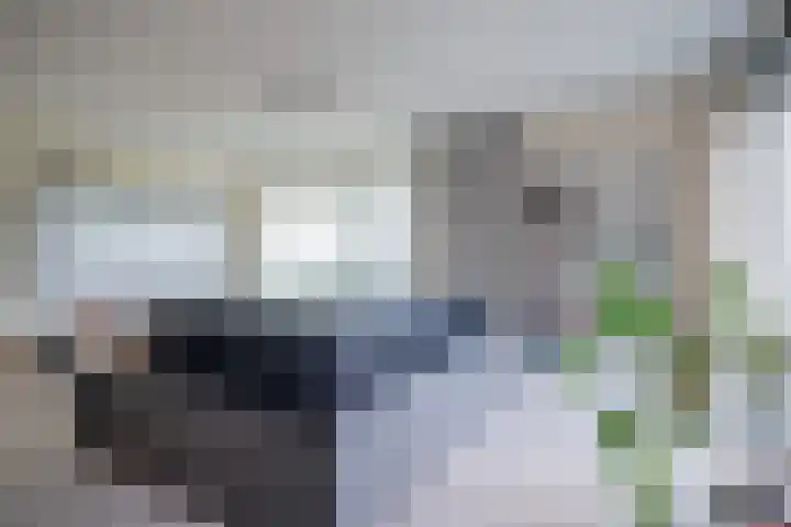 Abdijtuinen 264 Veldhoven thumbnail 18