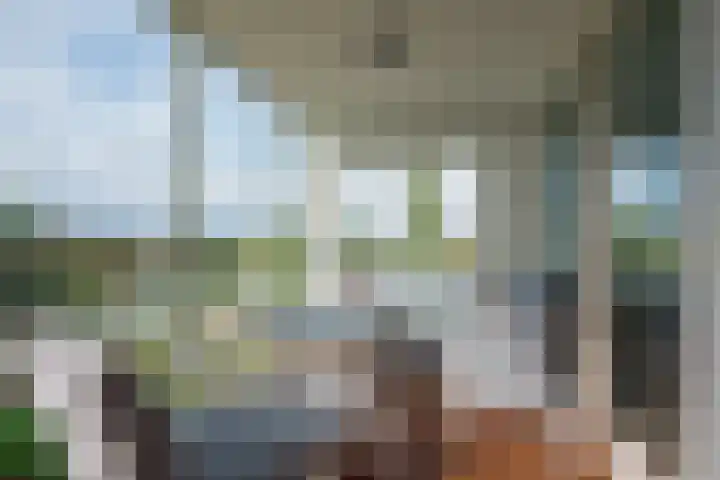 Abdijtuinen 264 Veldhoven thumbnail 23