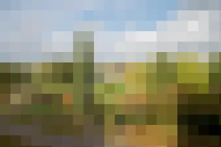 Abdijtuinen 264 Veldhoven thumbnail 24