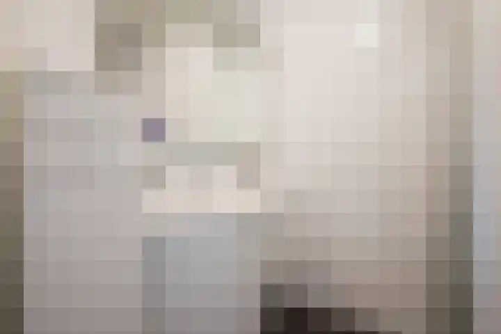 Abdijtuinen 264 Veldhoven thumbnail 27