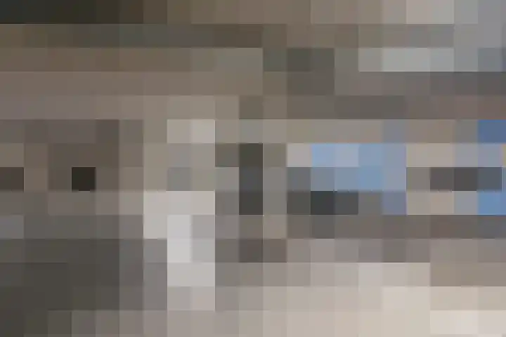 Abdijtuinen 264 Veldhoven thumbnail 29