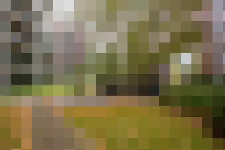 Abdijtuinen 264 Veldhoven thumbnail 33