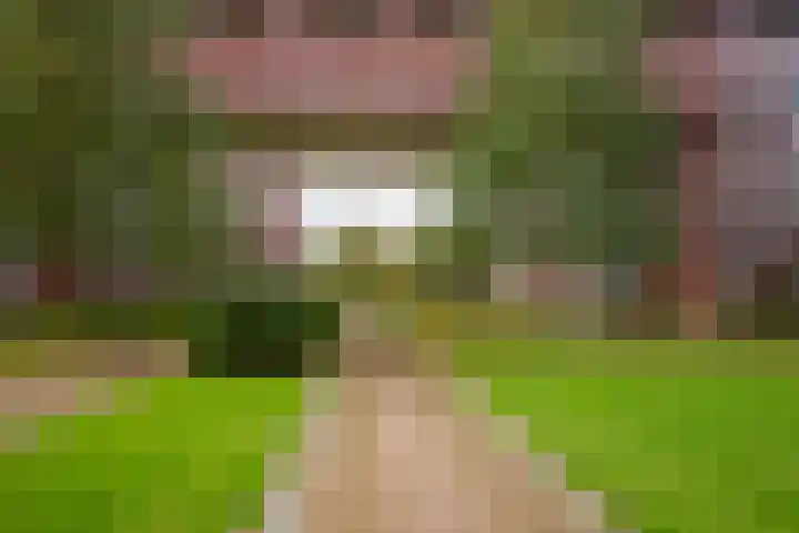 Abdijtuinen 264 Veldhoven thumbnail 34