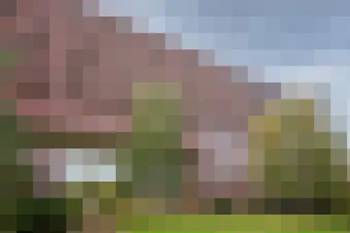 Abdijtuinen 264 Veldhoven thumbnail 35