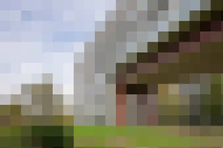 Abdijtuinen 264 Veldhoven thumbnail 36