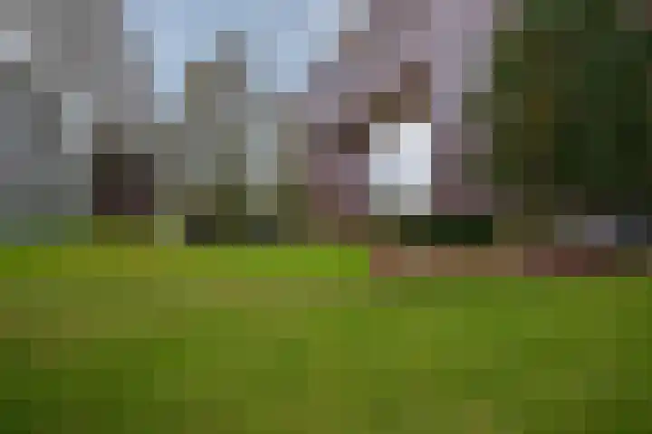 Abdijtuinen 264 Veldhoven thumbnail 37