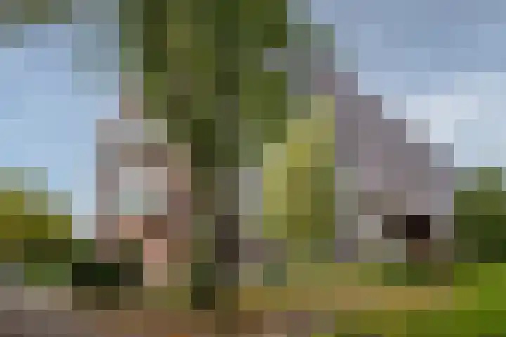 Abdijtuinen 264 Veldhoven thumbnail 38