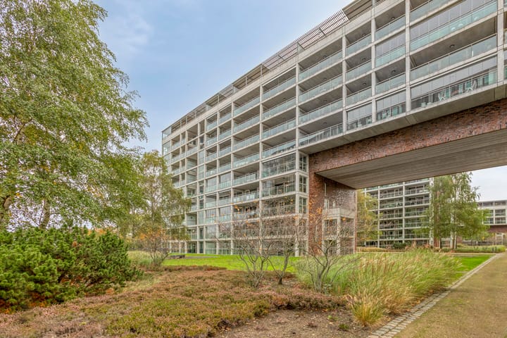 Abdijtuinen 271 in Veldhoven Foto