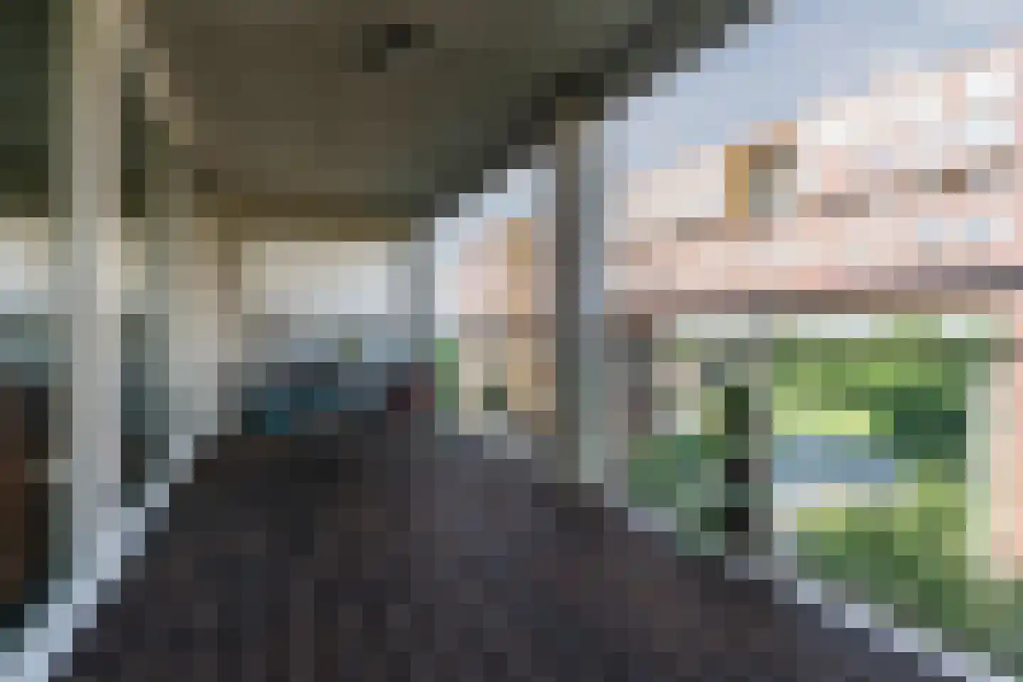 Abdijtuinen 271 Veldhoven thumbnail 20