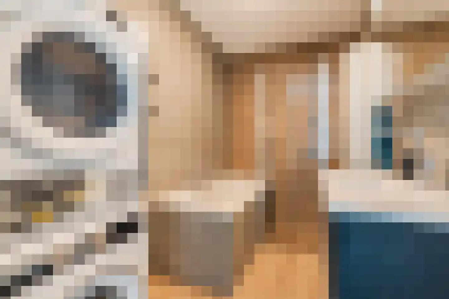 Abdijtuinen 271 Veldhoven thumbnail 25