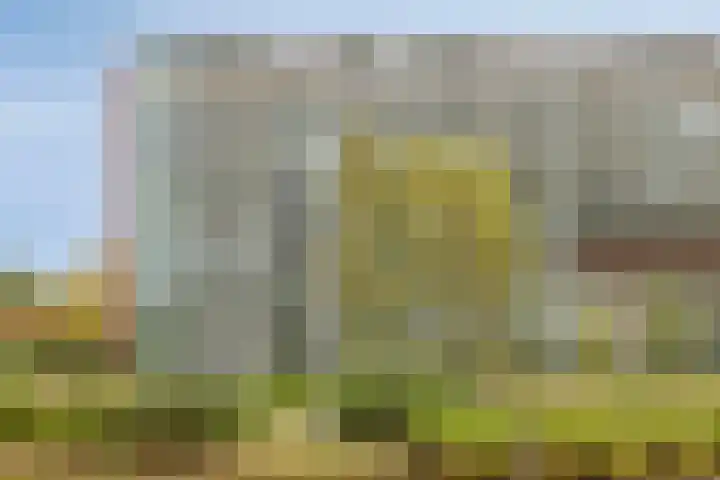 Abdijtuinen 271 Veldhoven thumbnail 27