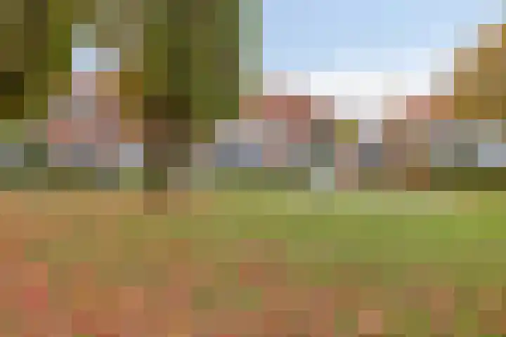 Abdijtuinen 271 Veldhoven thumbnail 29
