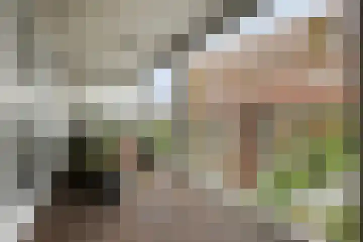 Abdijtuinen 271 Veldhoven thumbnail 4