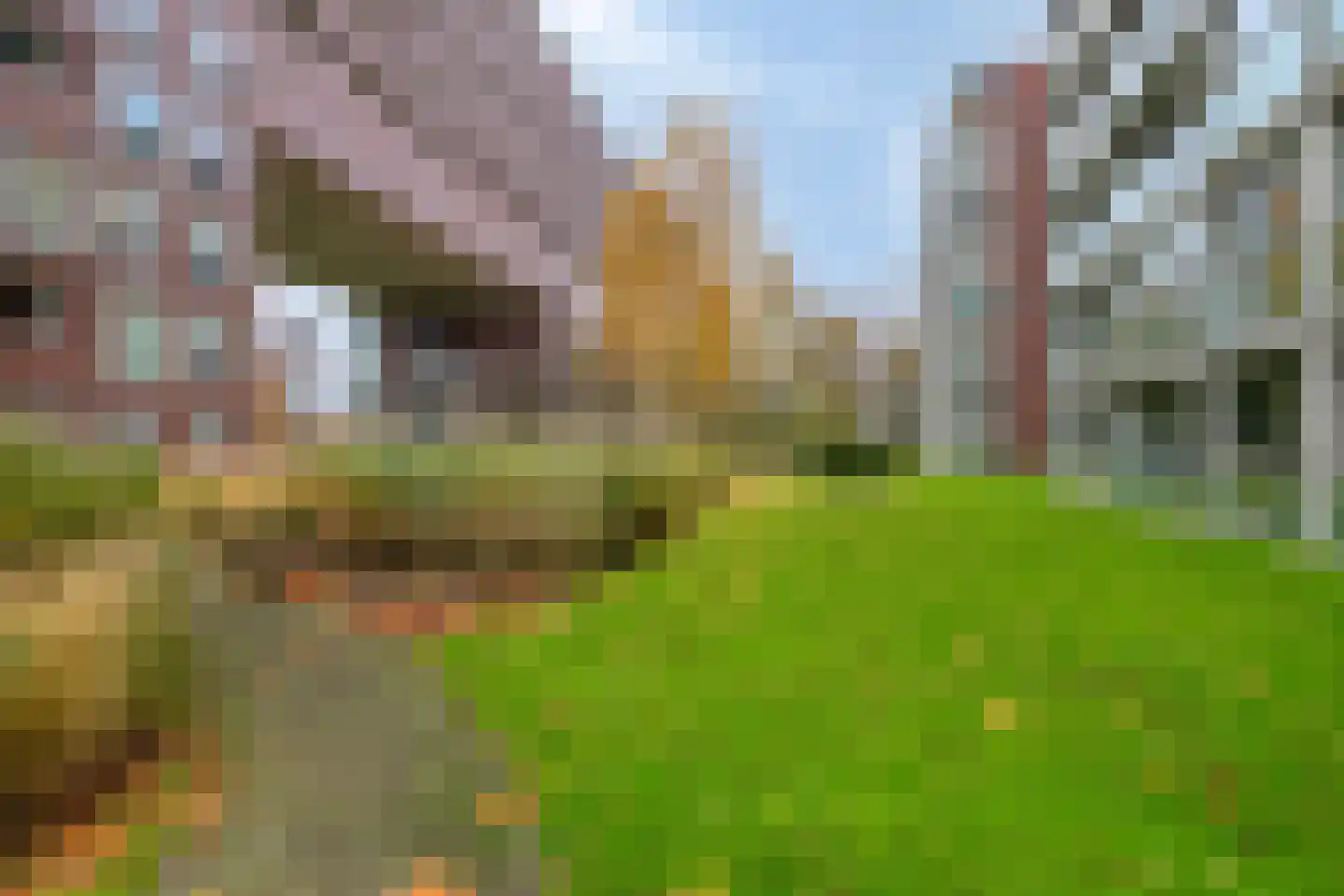 Abdijtuinen 279 Veldhoven thumbnail 24
