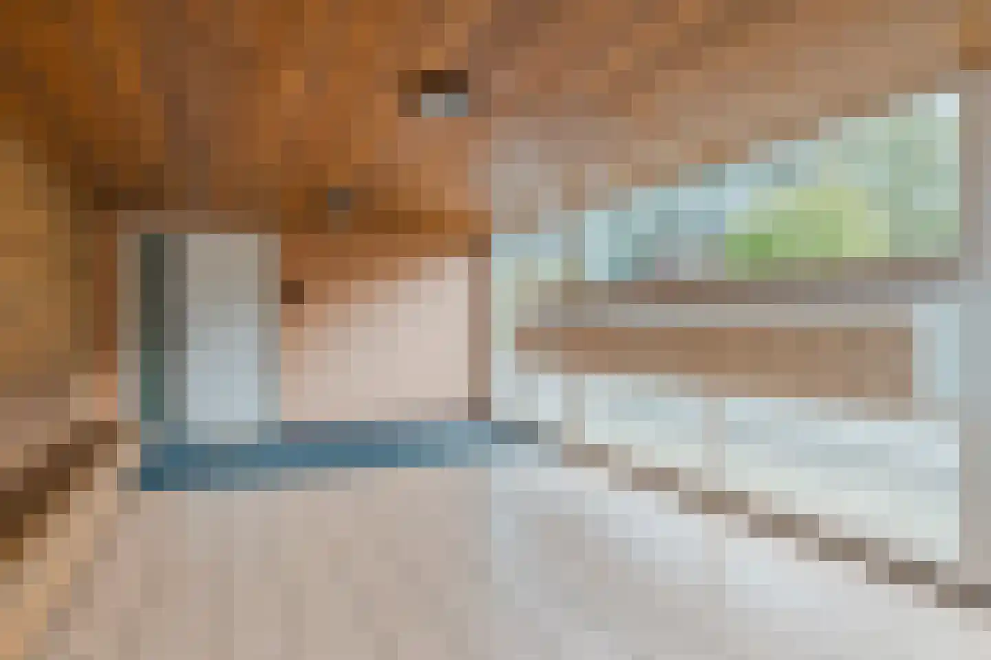 Abdijtuinen 318 Veldhoven thumbnail 11