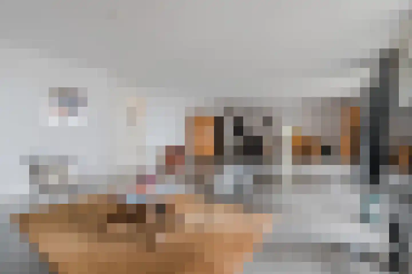 Abdijtuinen 318 Veldhoven thumbnail 21
